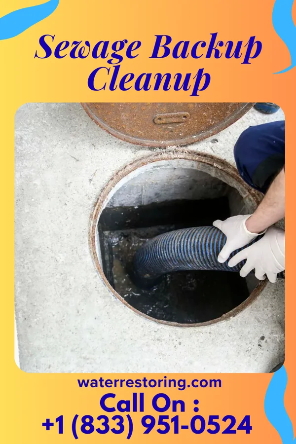 Sewage Backup Cleanup in Rossie, IA